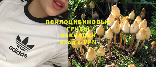 ГАЛЛЮЦИНОГЕННЫЕ ГРИБЫ Осташков