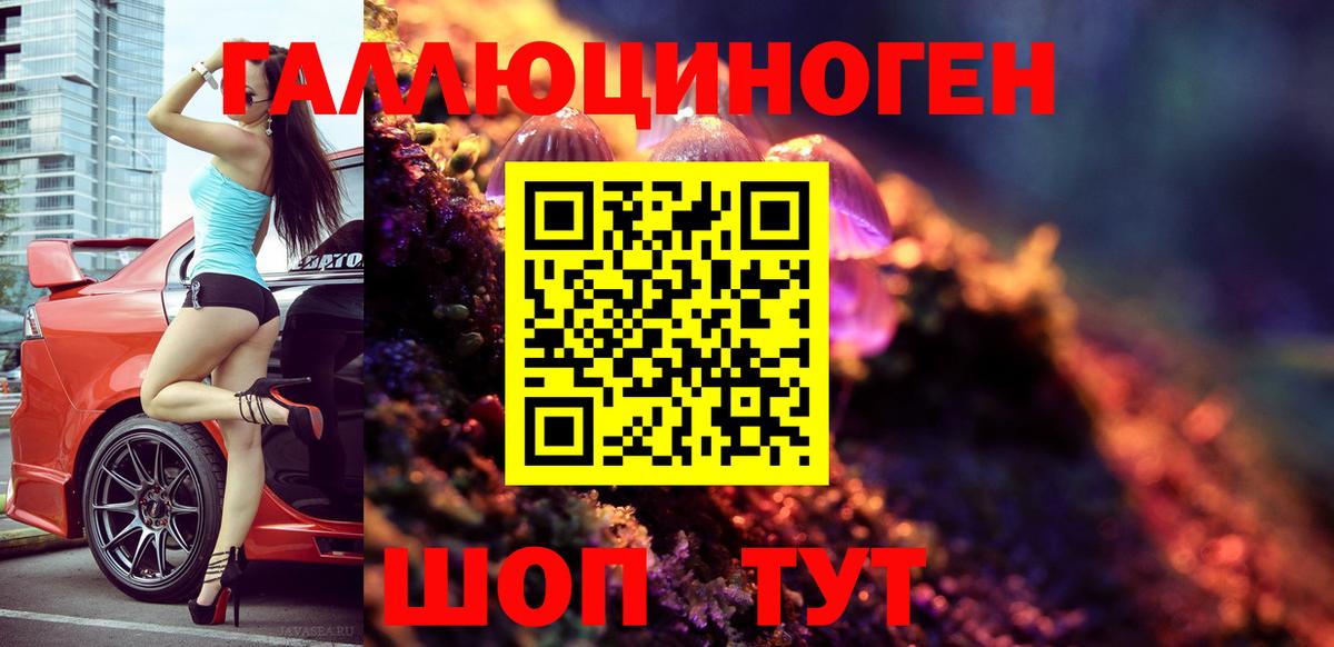 Галлюциногенные грибы GOLDEN TEACHER  Красноармейск 